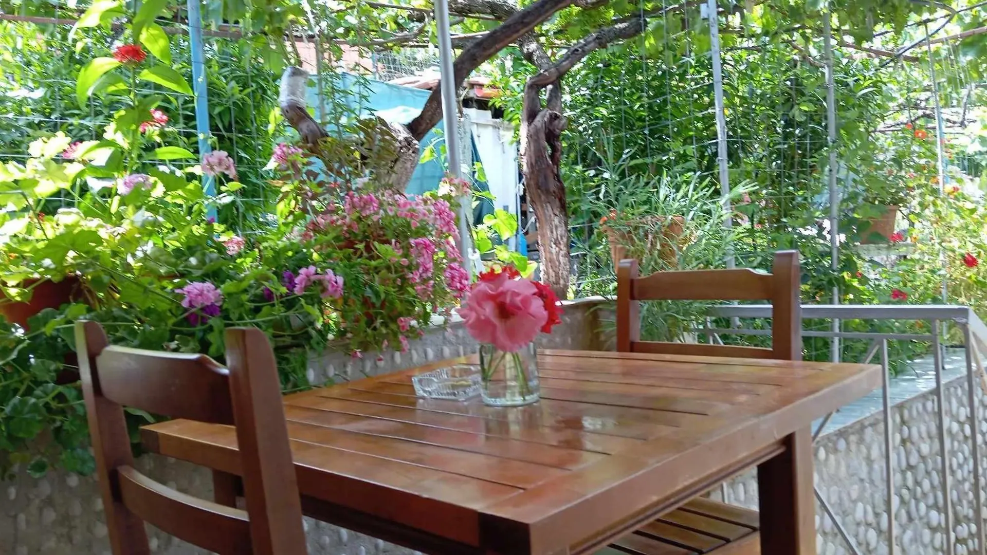 Relaxation Place 히마레